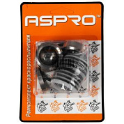 Ремкомплект насоса ASPRO-7200